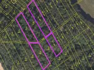 Prodej lesa, Držovice, 4332 m2