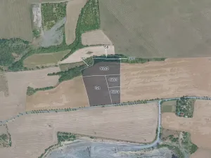 Prodej podílu pole, Husinec, 20697 m2