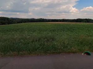 Prodej pole, Mšeno, 9988 m2