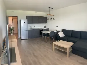 Prodej bytu 2+kk, Praha - Hostivař, Hornoměcholupská, 57 m2