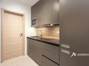 Pronájem bytu 1+kk, Brno, Mezírka, 42 m2