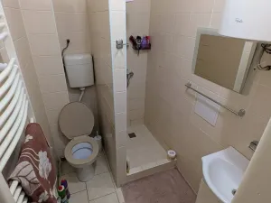 Pronájem bytu 1+1, Opava, Těšínská, 50 m2