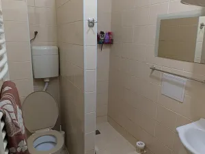 Pronájem bytu 1+1, Opava, Těšínská, 50 m2