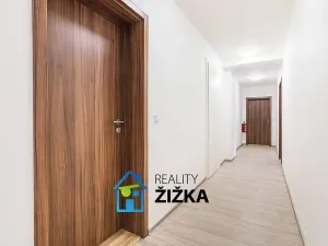 Pronájem bytu 1+kk, Rousínov, Sušilovo náměstí, 24 m2