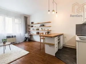 Pronájem bytu 1+kk, Praha - Žižkov, Radhošťská, 30 m2