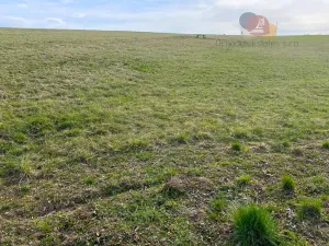 Prodej pozemku pro bydlení, Zábřeh, 1281 m2