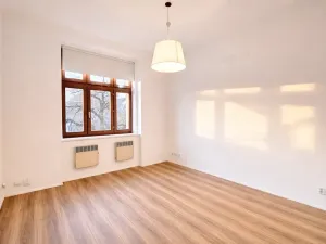 Pronájem bytu 1+kk, Praha - Holešovice, Na Maninách, 22 m2