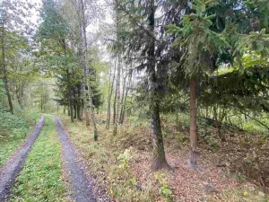 Prodej pozemku, Horní Dvořiště, 10042 m2