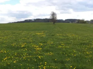 Prodej pozemku, Staré Město - Nová Véska, 10063 m2