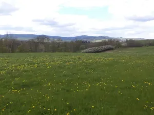 Prodej pozemku, Staré Město - Nová Véska, 10063 m2