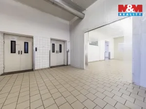 Pronájem skladu, Nymburk, Jičínská, 320 m2