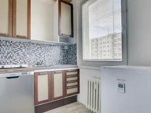 Pronájem bytu 1+1, Praha - Chodov, Brodského, 30 m2