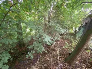 Dražba pozemku, Helvíkovice, 1994 m2