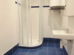 Pronájem bytu 2+1, Praha - Žižkov, Viklefova, 82 m2