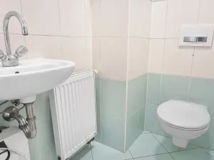 Pronájem bytu 4+1, Brno, Jánská, 113 m2