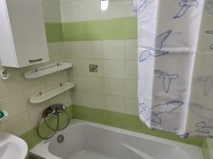 Pronájem bytu 2+1, Teplice, Svojsíkova, 55 m2