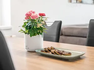 Prodej bytu 2+kk, Prostějov, Werichova, 67 m2