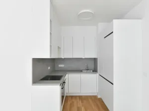 Pronájem bytu 2+kk, Praha - Michle, Michelská, 52 m2
