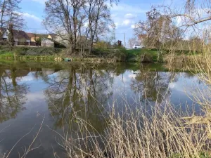 Prodej pozemku, Hořín - Vrbno, 788 m2