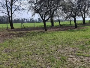 Prodej pozemku, Jenišovice, 871 m2