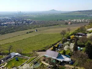 Prodej chaty, Lovosice, Lovošská, 39 m2