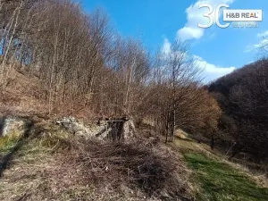 Prodej pozemku, Vsetín, 52963 m2