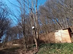 Prodej pozemku, Vsetín, 52963 m2