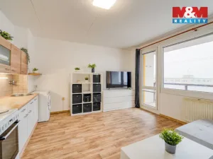 Pronájem bytu 1+kk, Plzeň - Severní Předměstí, Sokolovská, 27 m2