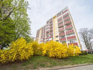 Prodej bytu 3+1, Mladá Boleslav - Mladá Boleslav II, Palackého, 85 m2