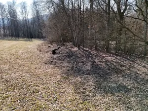 Prodej louky, Chotěvice, 24195 m2