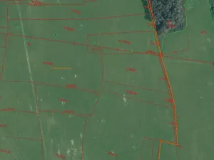 Prodej pole, Bělá nad Radbuzou, 174301 m2