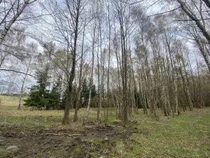 Prodej pozemku, Volfířov - Brandlín, 5958 m2