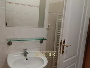 Pronájem bytu 1+1, Teplice, Masarykova třída, 45 m2