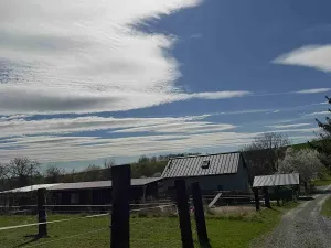 Prodej pozemku, Suchonice, 417 m2