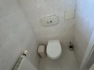 Pronájem komerční nemovitosti, Liberec, Karoliny Světlé, 305 m2