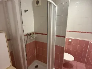 Prodej bytu 2+1, Orlová, F. S. Tůmy, 43 m2