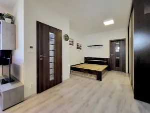 Prodej bytu 1+kk, Brno, Křenová, 32 m2