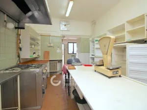 Prodej rodinného domu, Čelákovice, Masarykova, 450 m2