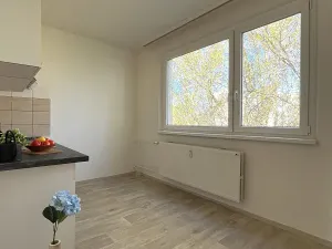 Pronájem bytu 3+1, Česká Lípa, Okružní, 65 m2