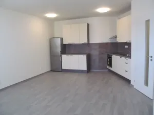 Prodej bytu 3+kk, Praha - Žižkov, Olgy Havlové, 71 m2