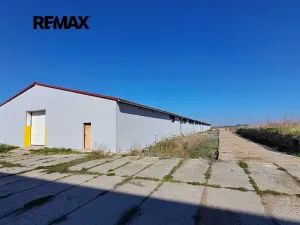 Prodej výrobních prostor, Dolní Chvatliny, 3690 m2