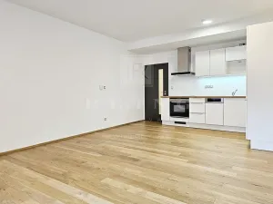 Pronájem bytu 1+kk, Brno, Kleštínek, 39 m2