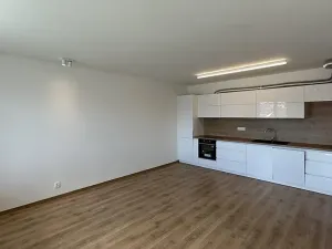 Pronájem bytu 3+kk, České Budějovice, Fr. Škroupa, 69 m2