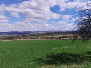 Prodej rodinného domu, Libice nad Doubravou, 83 m2