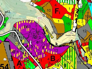 Dražba lesa, Žižkovo Pole, 5060 m2