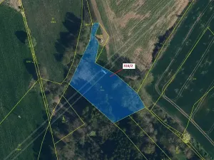 Dražba louky, Olešná, 3211 m2