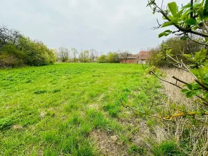 Prodej pozemku pro bydlení, Dlouhá Lhota, 3560 m2