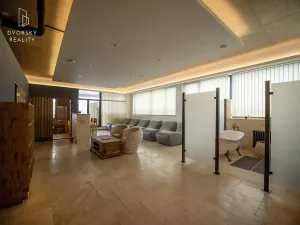 Prodej obchodního prostoru, Mladá Boleslav, Mileny Hážové, 4857 m2