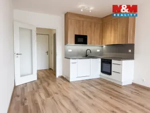 Pronájem bytu 1+kk, Praha, 35 m2