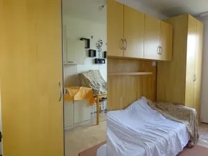 Pronájem bytu 1+kk, Praha - Vršovice, Jerevanská, 18 m2
